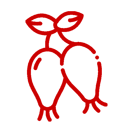 rosehip